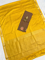 Chinnon checks saree with designer sequence work blouse.