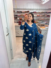 Mul Chanderi Dress