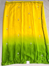 Chiffon Dual shade Sunflower Work saree